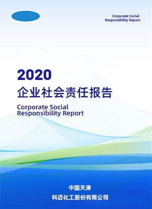2020 年企業(yè)社會(huì)責(zé)任報(bào)告